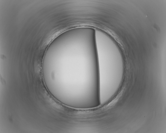 X0000090960985200708021118