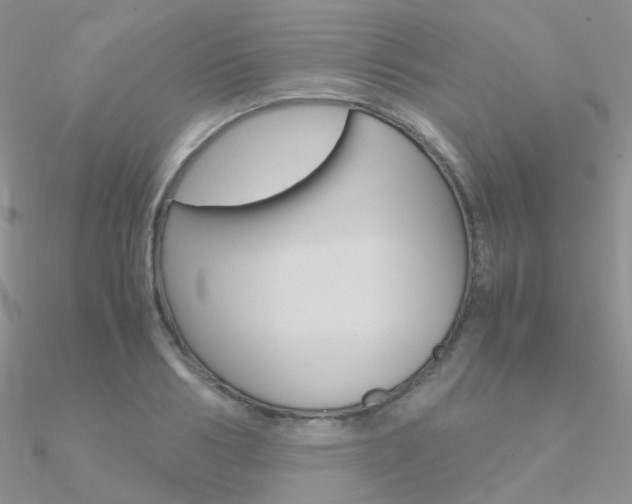 X0000090960986200708021118