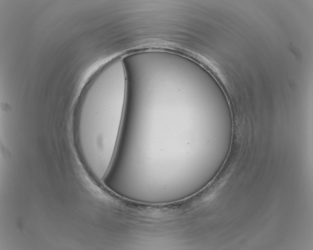 X0000090960987200708021118