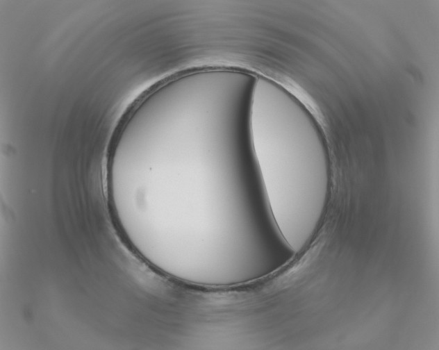 X0000090960988200708021118