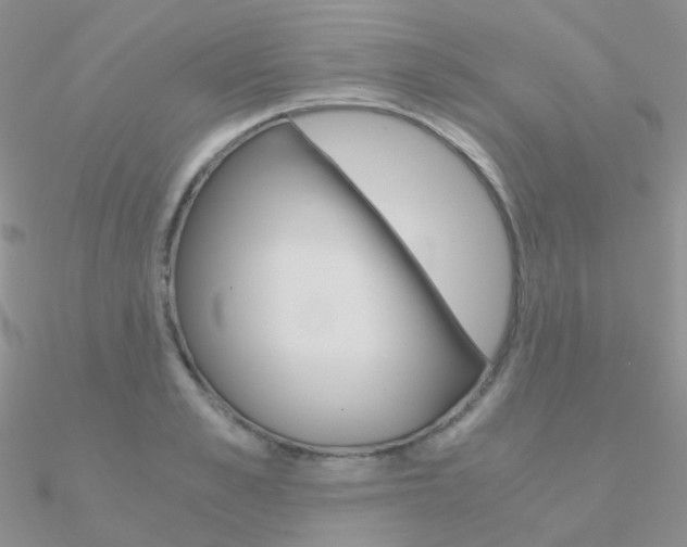 X0000090960989200708021118