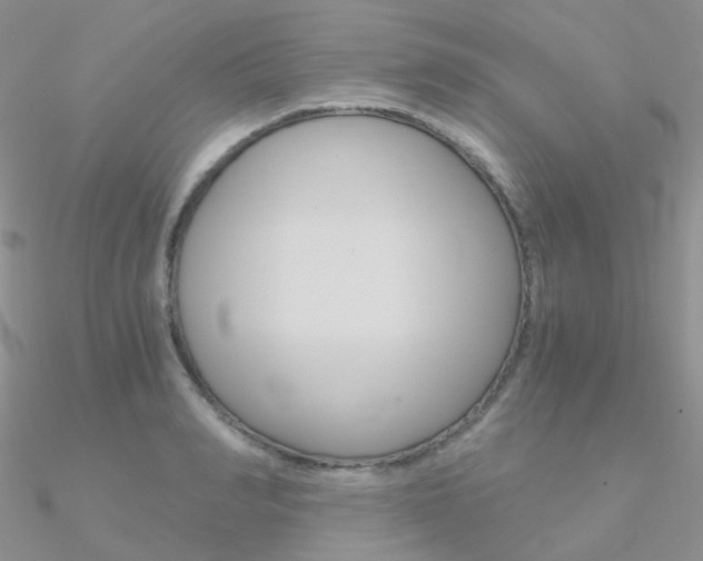 X0000090960990200708021118