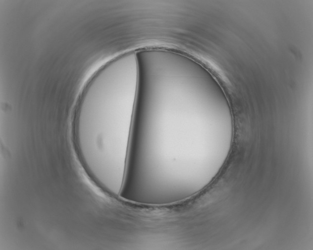 X0000090960991200708021118