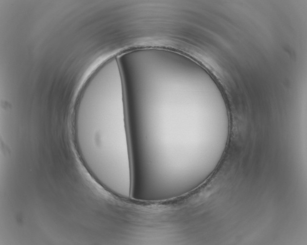 X0000090960992200708021118