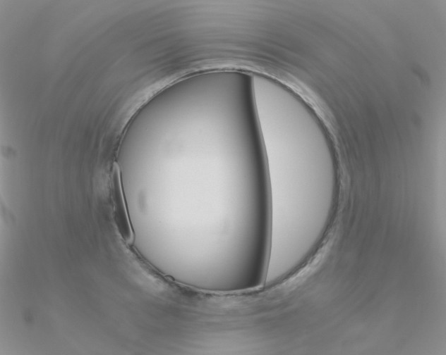 X0000090960993200708021118