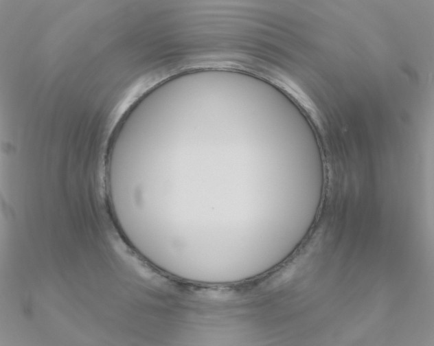 X0000090960994200708021118