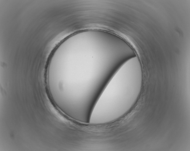 X0000090960995200708021118