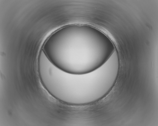 X0000090960996200708021118