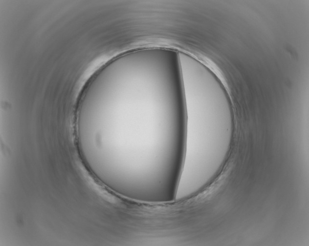 X0000090960997200708021118