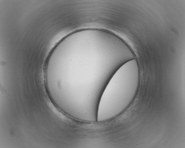X0000090960998200708021118