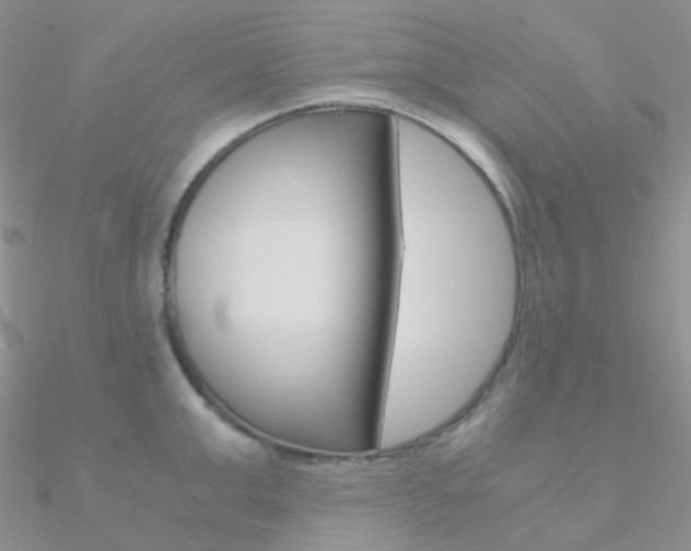 X0000090960999200708021118