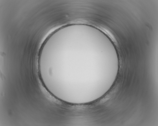 X0000090961000200708021118