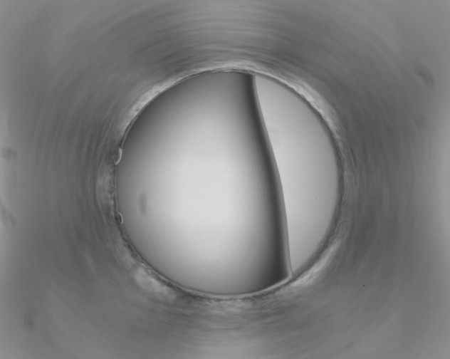 X0000090961001200708021118