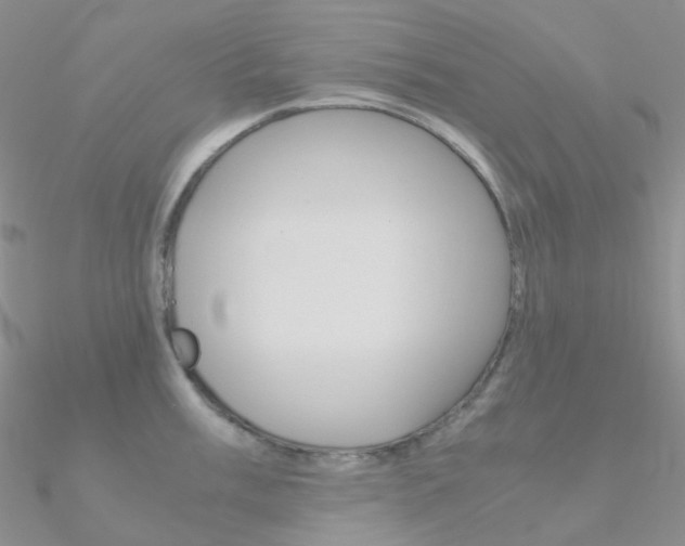 X0000090961003200708021118