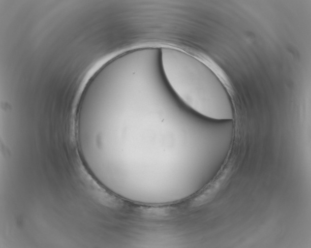 X0000090961004200708021118