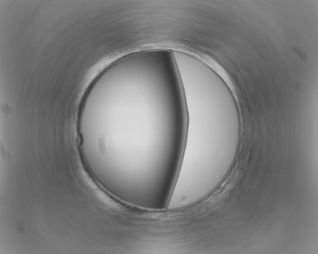 X0000090961005200708021118