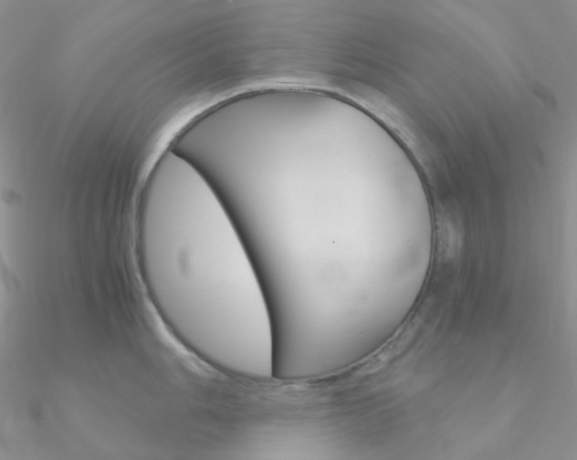 X0000090961006200708021118