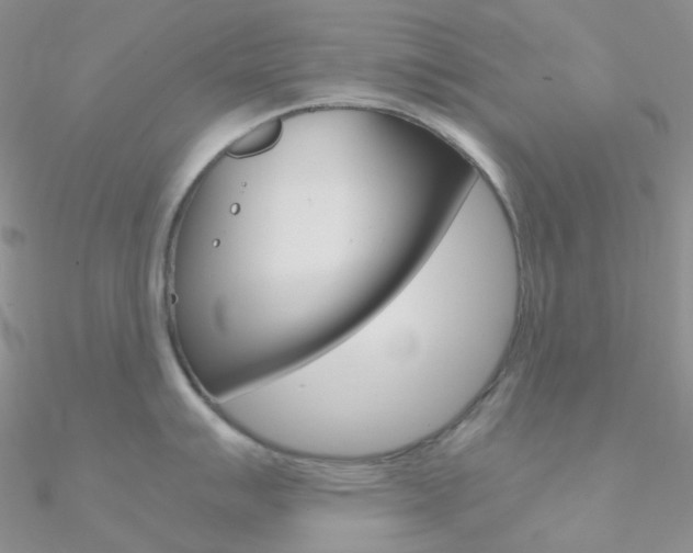 X0000090961007200708021118