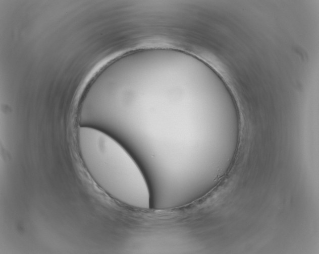 X0000090961008200708021118