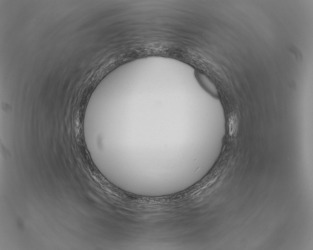 X0000090961011200708021117