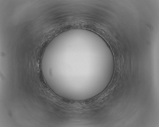 X0000090961013200708021117