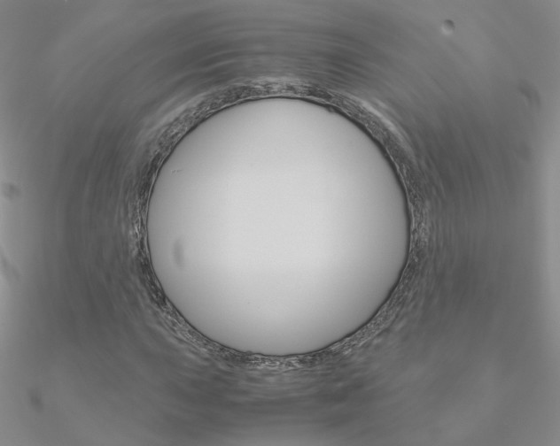 X0000090961015200708021117