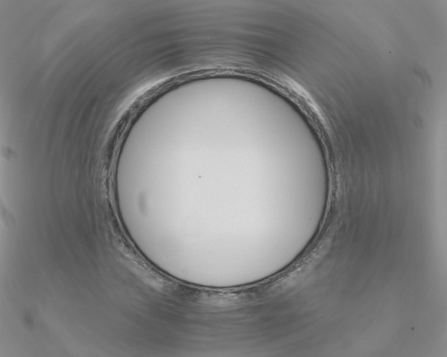 X0000090961019200708021117
