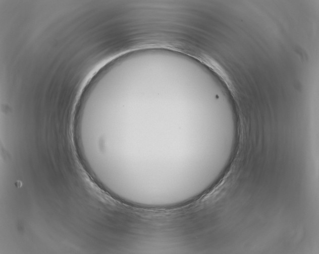 X0000090961020200708021117