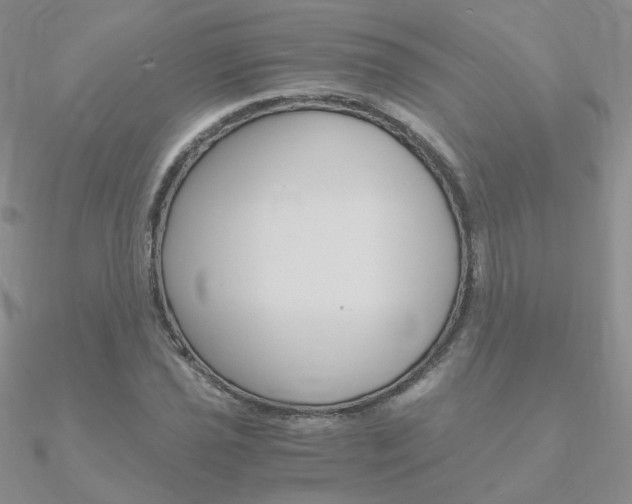 X0000090961021200708021117