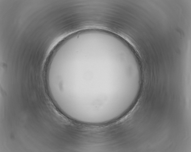 X0000090961022200708021117