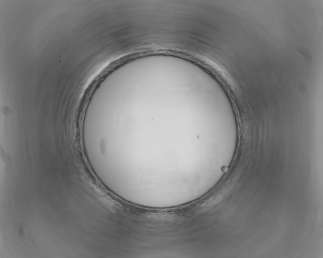 X0000090961023200708021117