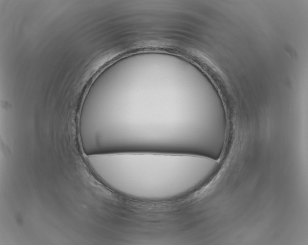 X0000090961025200708021117