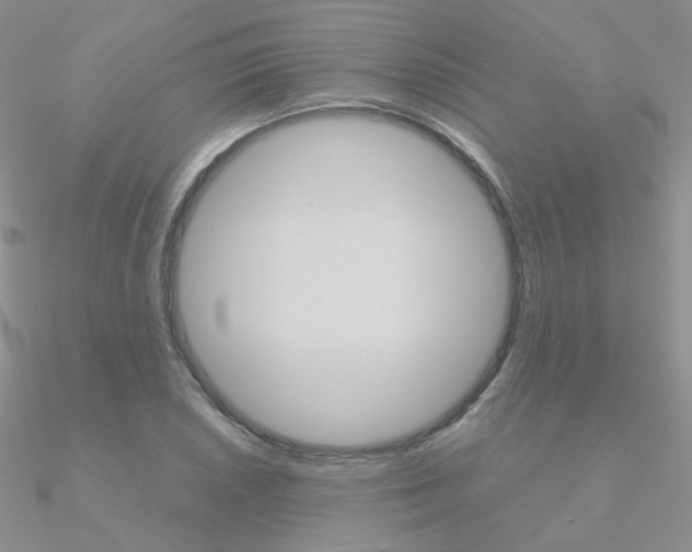 X0000090961026200708021117
