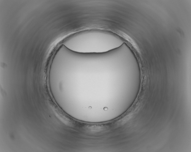 X0000090961027200708021117