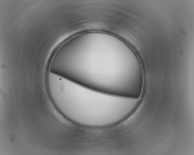 X0000090961029200708021117