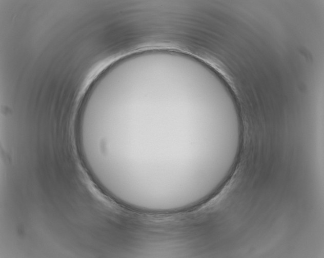 X0000090961030200708021117