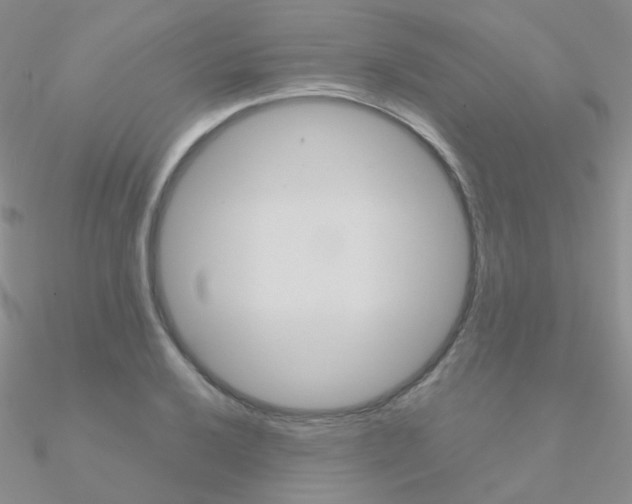 X0000090961032200708021117