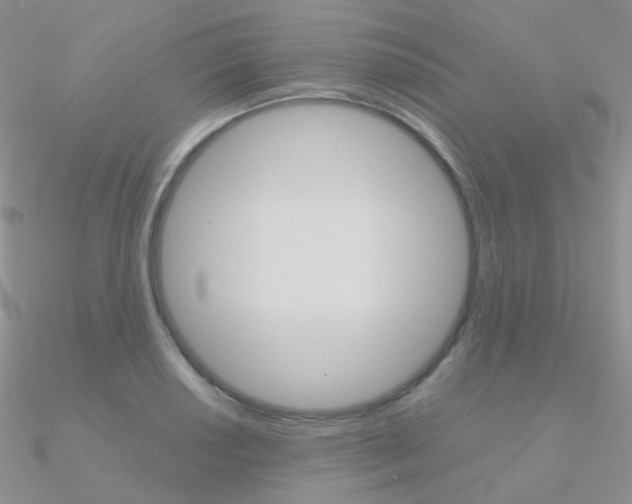 X0000090961034200708021117