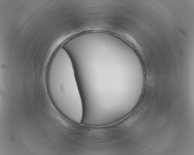 X0000090961035200708021117