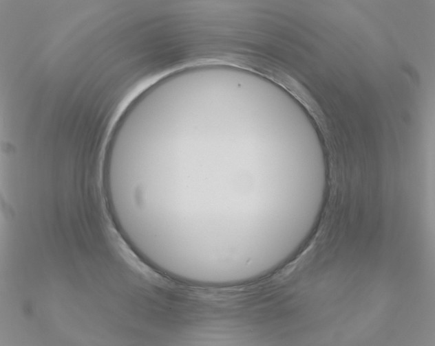 X0000090961036200708021117