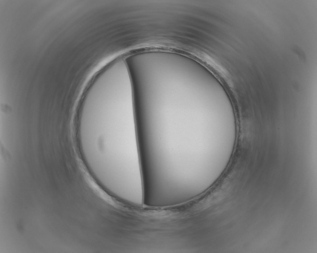 X0000090961037200708021117