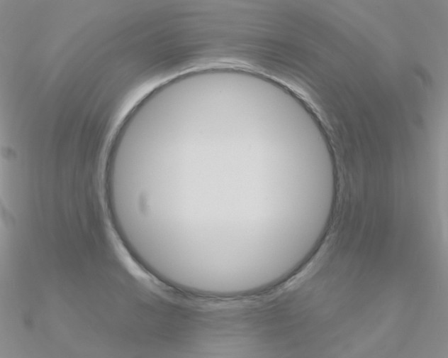 X0000090961038200708021117