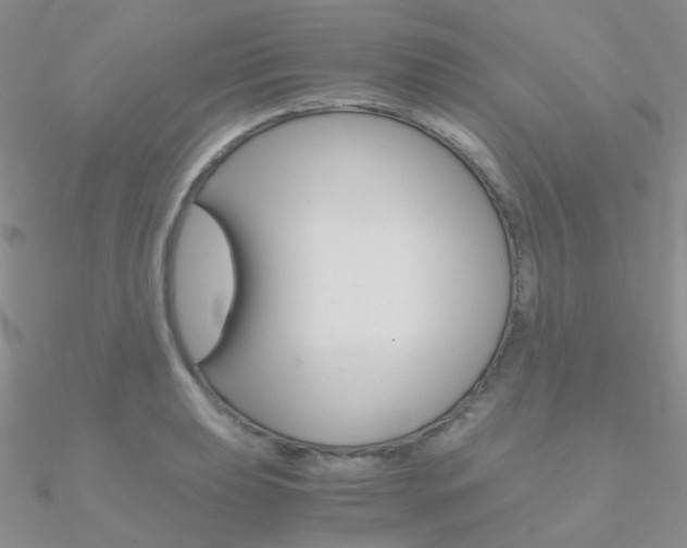 X0000090961039200708021117