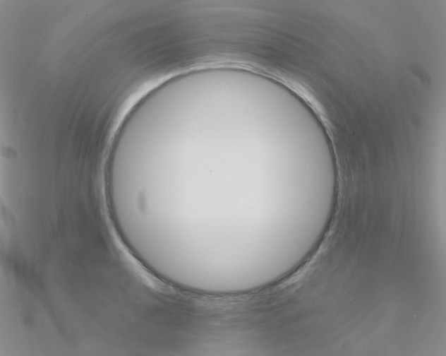 X0000090961040200708021117