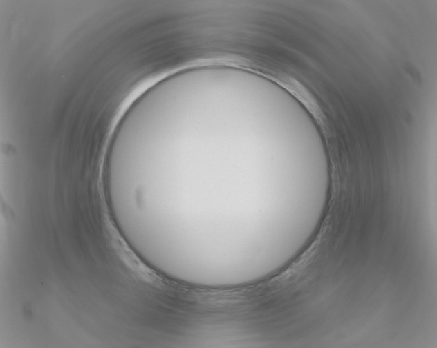 X0000090961044200708021117