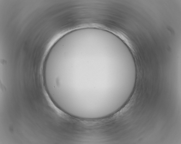 X0000090961046200708021117