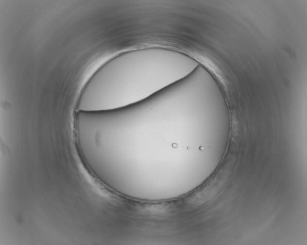 X0000090961047200708021117