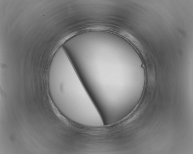 X0000090961049200708021118