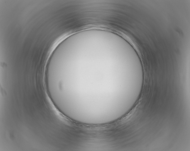 X0000090961050200708021118