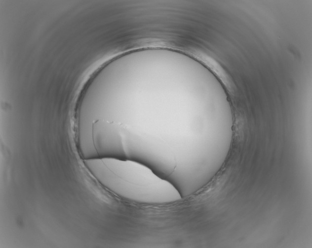 X0000090961051200708021118